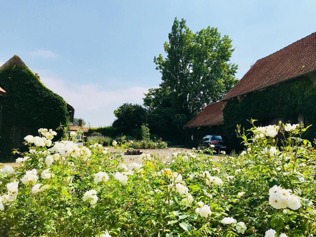 La Ferme des Roses room 2